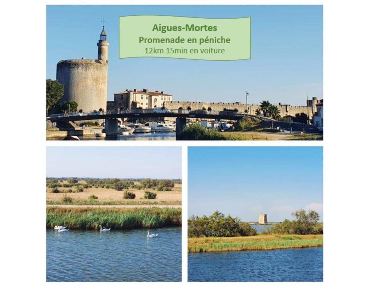 T2 Traversant Familial Cap Sud Parking Plages - Rossiconciergerie - Linge En Option La Grande-Motte Eksteriør billede